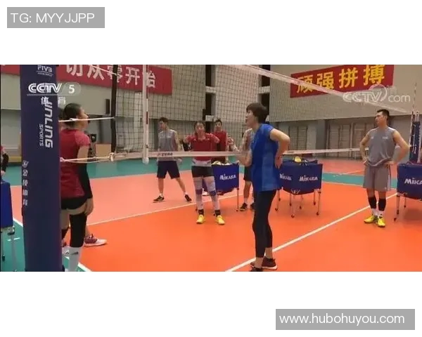 上海排球队技术表现分析与联赛表现的深度解读 上海排球队技术表现分析与联赛表现的深度解读