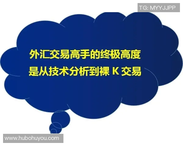 独家解析西安排球队的团队协作与其他球队的对比分析 独家解析西安排球队的团队协作与其他球队的对比分析